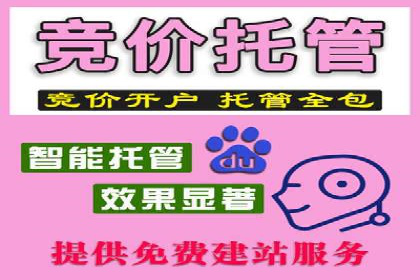 百度竞价之行业差异化的成功案例探讨